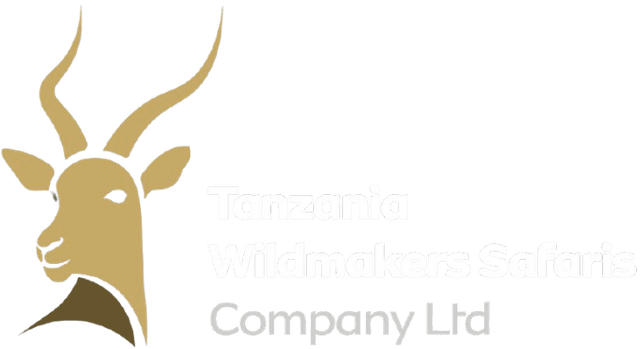 Tanzania Wildmakers Safaris